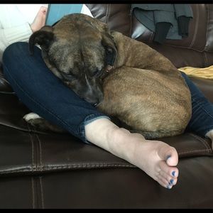 Meet your Posher, Tony